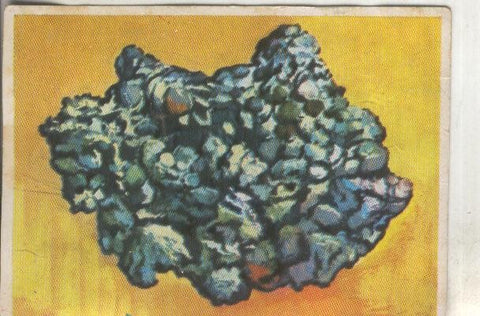 Cromos: Historia Natural numero 030