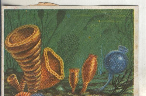 Cromos: Historia Natural numero 032