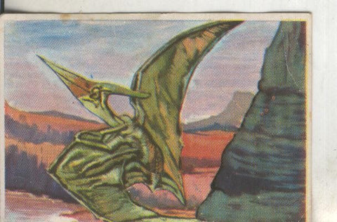 Cromos: Historia Natural numero 034