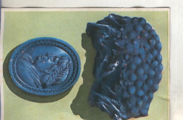 Cromos: Historia Natural numero 078