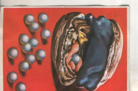 Cromos: Historia Natural numero 079