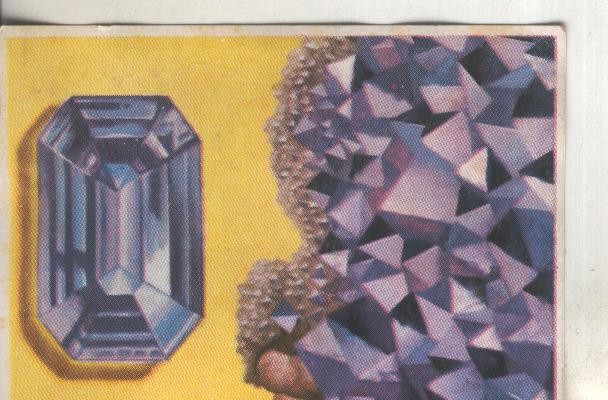 Cromos: Historia Natural numero 080