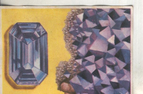 Cromos: Historia Natural numero 080