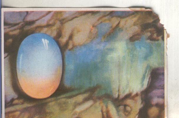 Cromos: Historia Natural numero 083