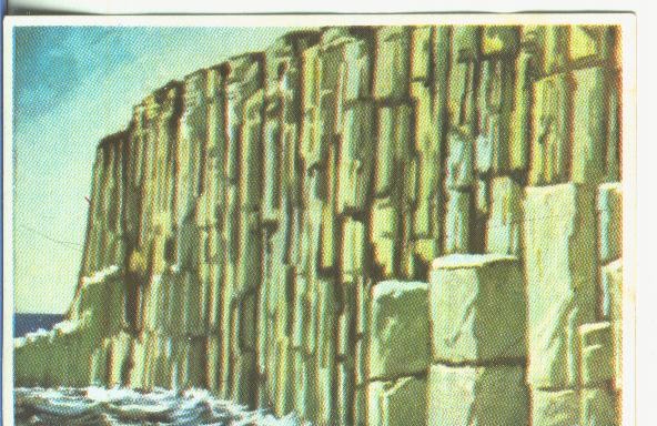 Cromos: Historia Natural numero 044