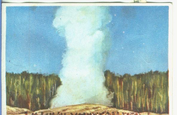 Cromos: Historia Natural numero 045
