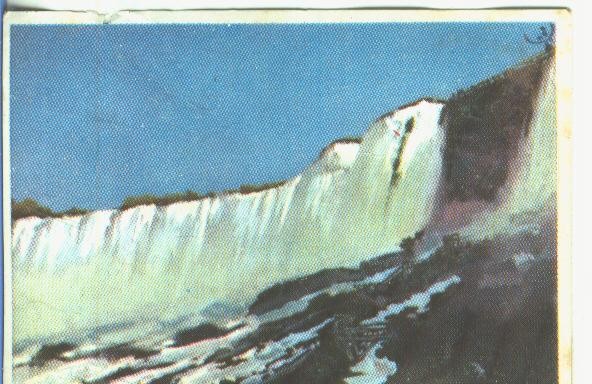 Cromos: Historia Natural numero 046