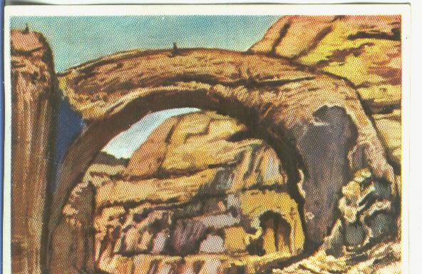 Cromos: Historia Natural numero 050