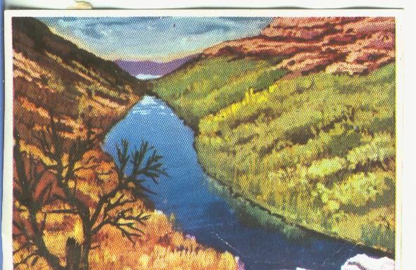 Cromos: Historia Natural numero 052