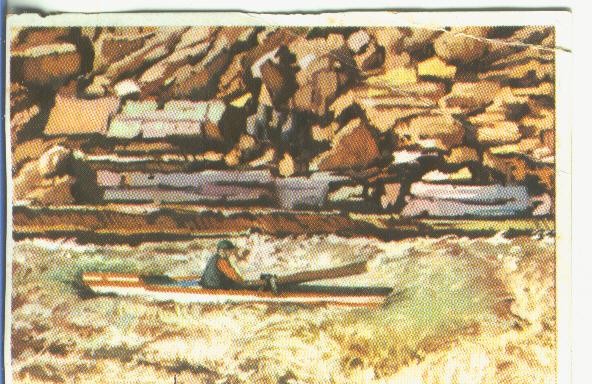 Cromos: Historia Natural numero 054