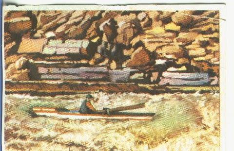 Cromos: Historia Natural numero 054