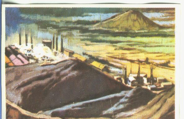 Cromos: Historia Natural numero 057