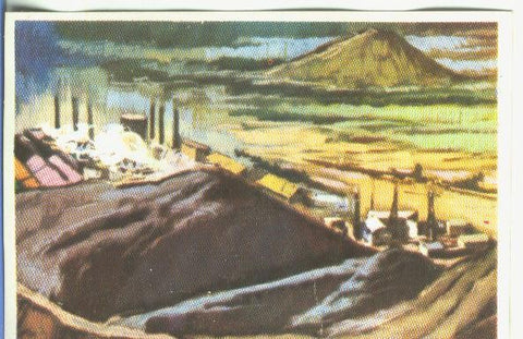 Cromos: Historia Natural numero 057