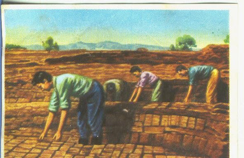 Cromos: Historia Natural numero 058