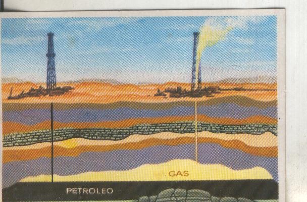 Cromos: Historia Natural numero 061