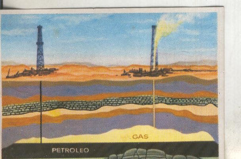 Cromos: Historia Natural numero 061