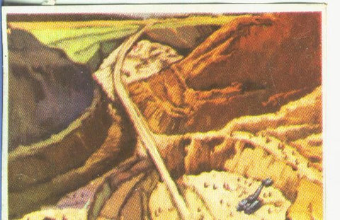 Cromos: Historia Natural numero 064