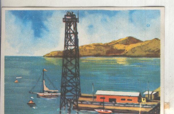 Cromos: Historia Natural numero 065