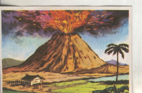 Cromos: Historia Natural numero 067