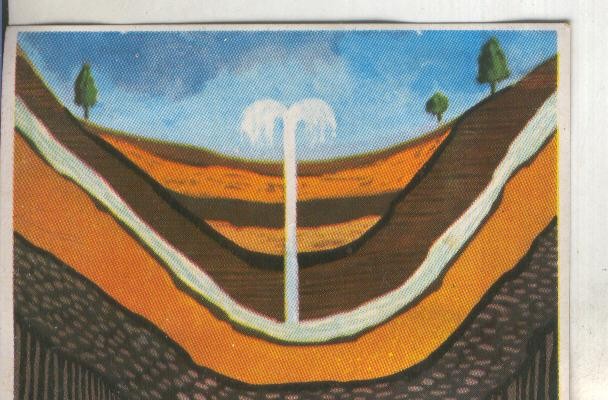 Cromos: Historia Natural numero 069