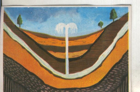 Cromos: Historia Natural numero 069
