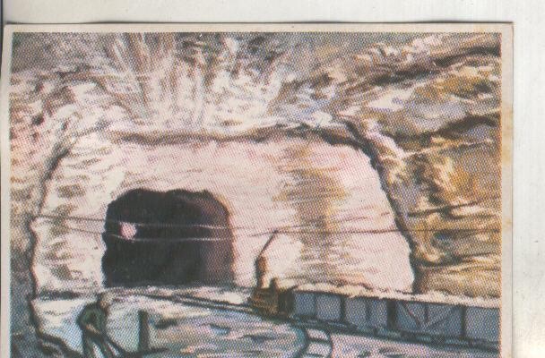 Cromos: Historia Natural numero 070