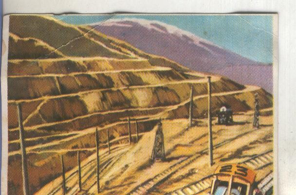 Cromos: Historia Natural numero 071
