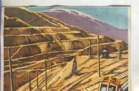 Cromos: Historia Natural numero 071