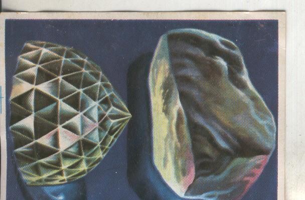 Cromos: Historia Natural numero 073
