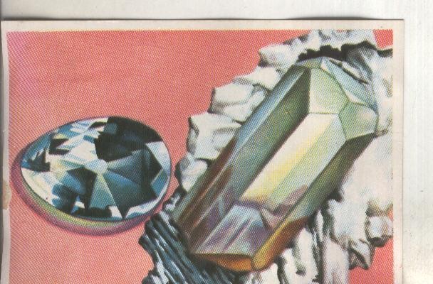 Cromos: Historia Natural numero 086