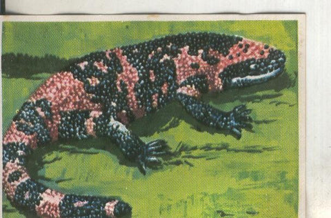 Cromos: Historia Natural numero 116