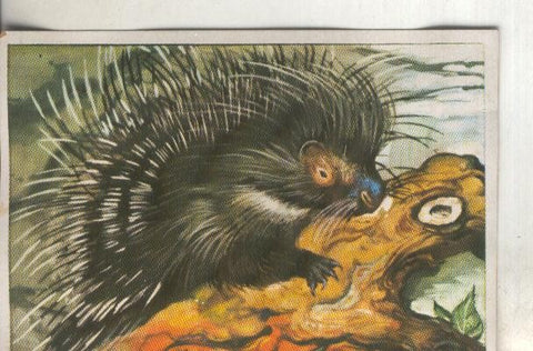 Cromos: Historia Natural numero 118