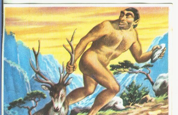 Cromos: Historia Natural numero 125