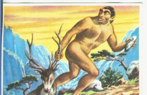Cromos: Historia Natural numero 125