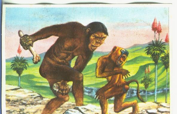 Cromos: Historia Natural numero 126