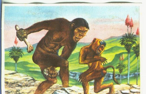 Cromos: Historia Natural numero 126