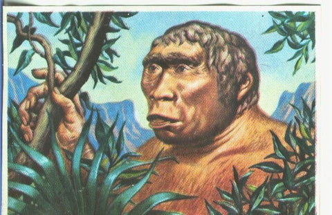 Cromos: Historia Natural numero 127