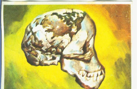 Cromos: Historia Natural numero 128