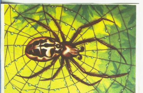 Cromos: Historia Natural numero 129