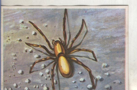 Cromos: Historia Natural numero 131