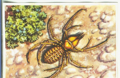 Cromos: Historia Natural numero 140