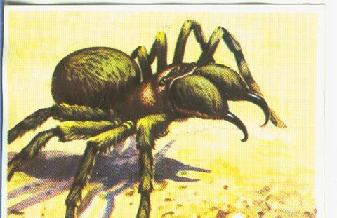 Cromos: Historia Natural numero 144
