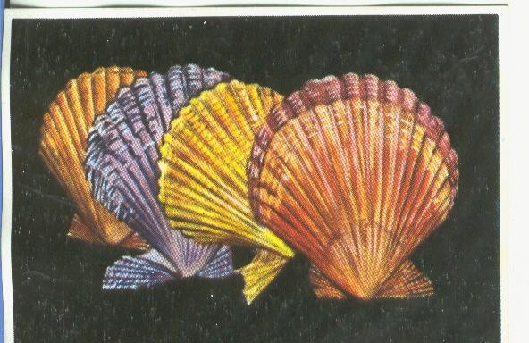 Cromos: Historia Natural numero 150