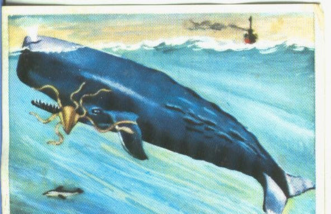 Cromos: Historia Natural numero 157