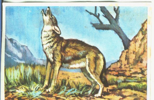 Cromos: Historia Natural numero 159