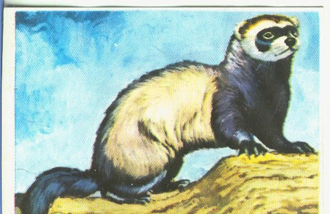 Cromos: Historia Natural numero 161