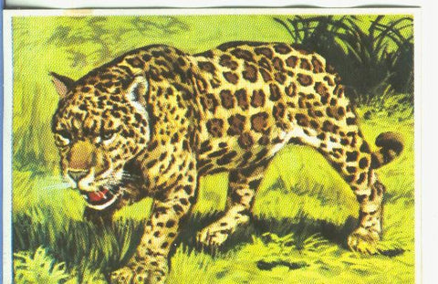 Cromos: Historia Natural numero 163