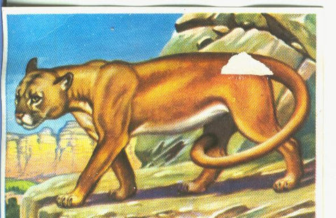 Cromos: Historia Natural numero 167