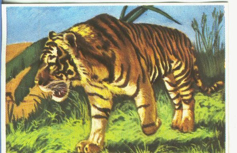 Cromos: Historia Natural numero 168