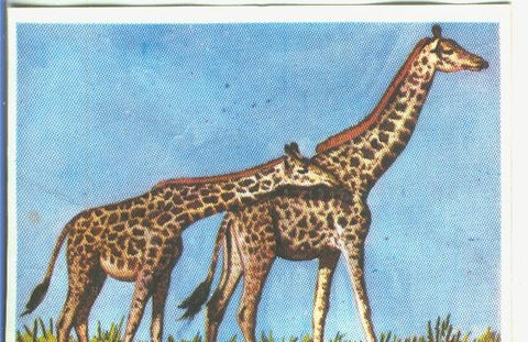 Cromos: Historia Natural numero 170